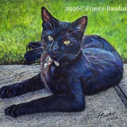 Lando - 13 hours
Anthracite Pastelmat
7" x 8"
Ref.: Kris Evans